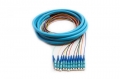 FIB Distribution Pigtail 12 Fiber Multimode (50um OM3) LC/UPC Aqua Boots 3 Meters