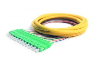 FIB Distribution Pigtail 12 Fiber Singlemode SC/APC Green Boots 3 Meters