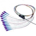 MTP/Male-SC/UPC SM, 12 Fiber Ribbon, 1 Meter