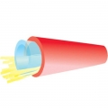 TLC Furcation Tube 3mm Red