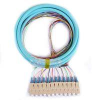 FIB Distribution Pigtail 12 Fiber Multimode (50um OM3) SC/UPC Aqua Boots 3 Meters